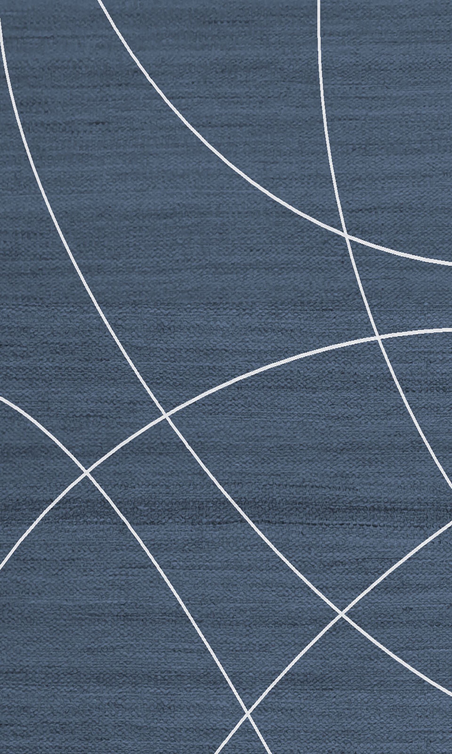 Mesmeric French Navy