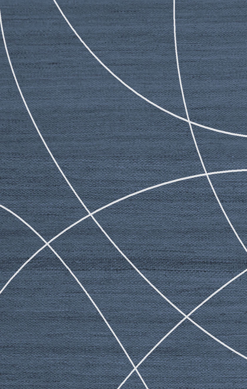 Mesmeric French Navy