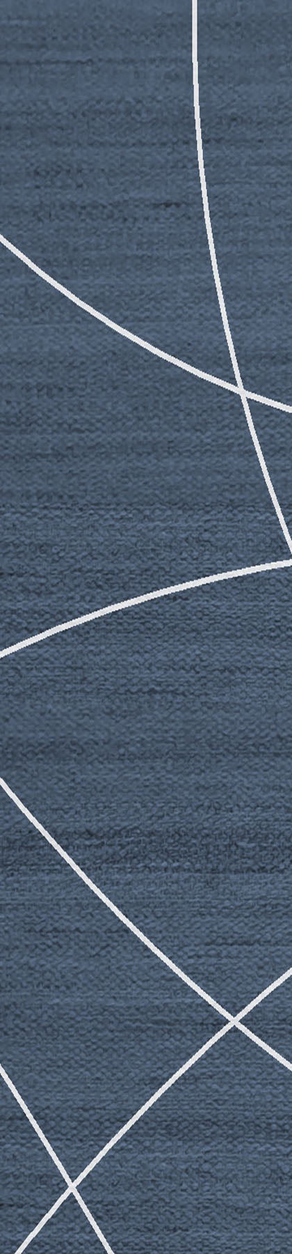 Mesmeric French Navy