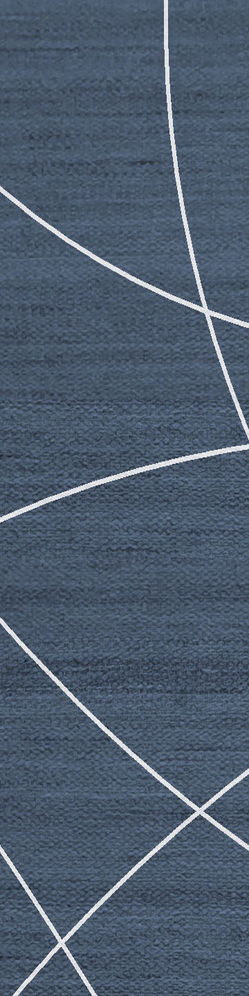Mesmeric French Navy