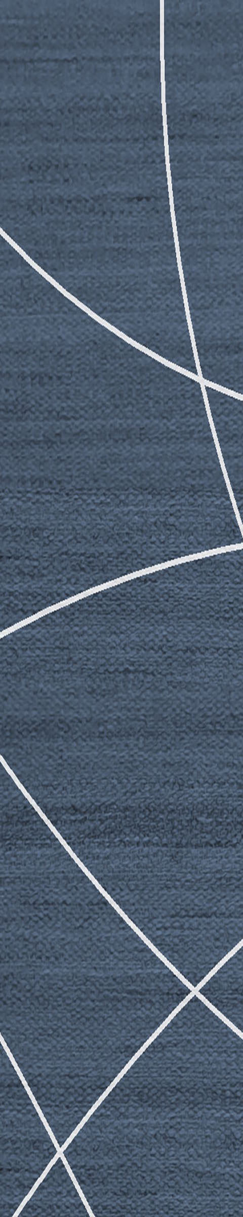 Mesmeric French Navy
