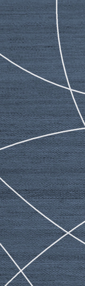 Mesmeric French Navy
