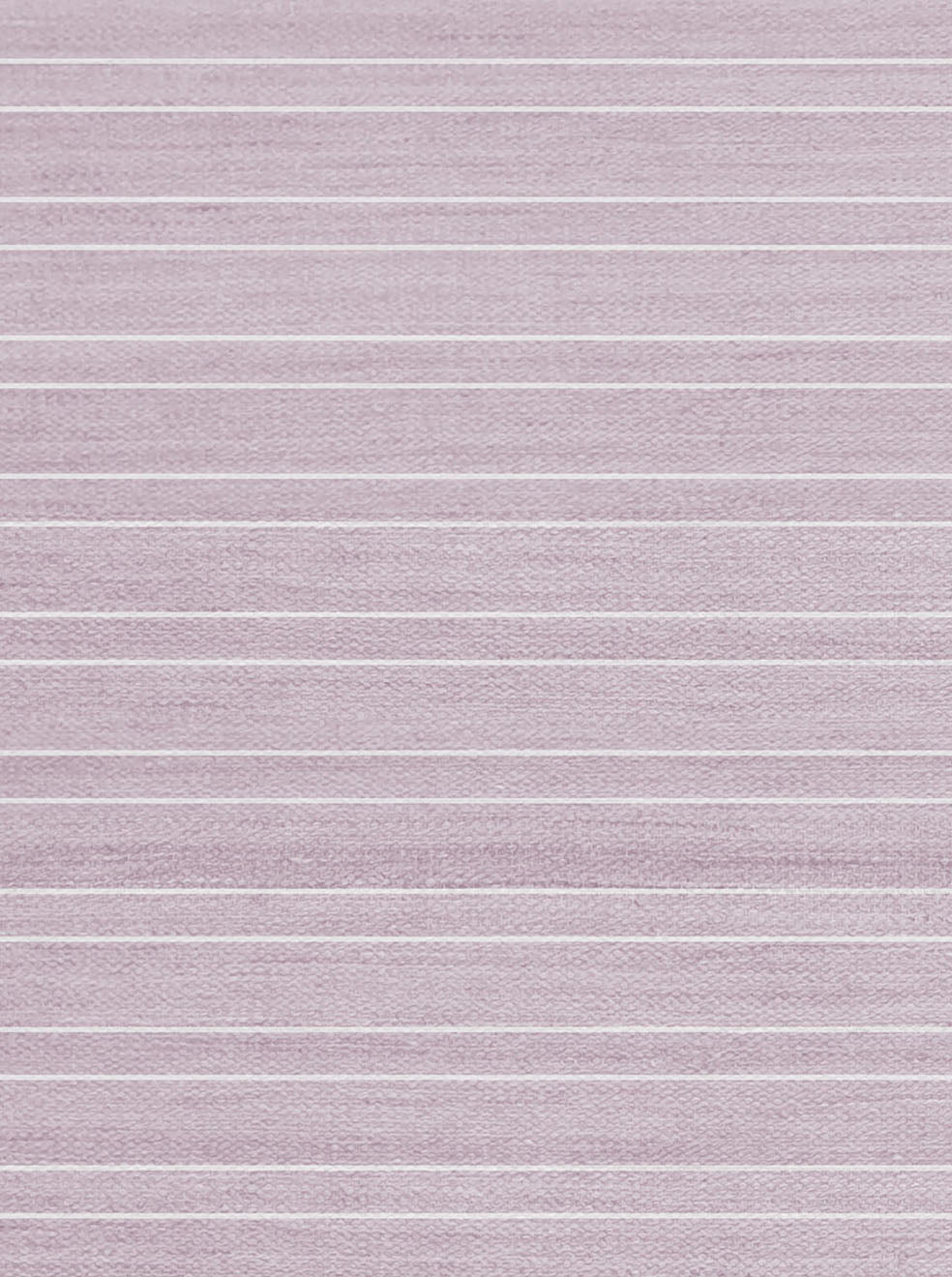 Twin Stripe Rose