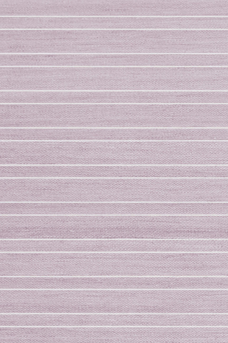 Twin Stripe Rose