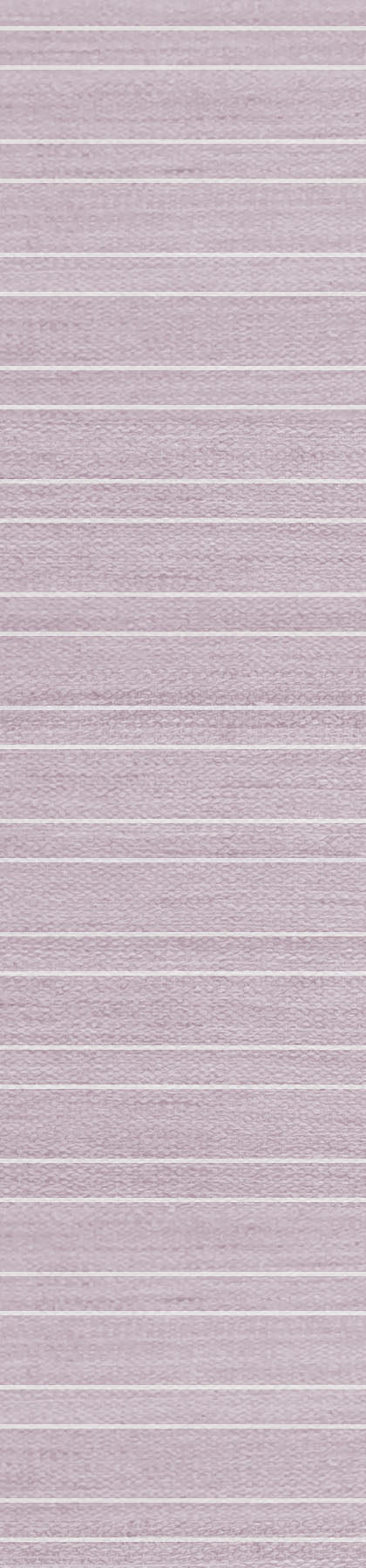 Twin Stripe Rose