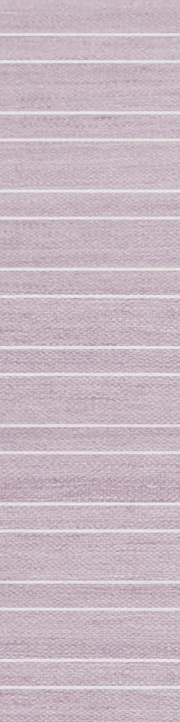 Twin Stripe Rose