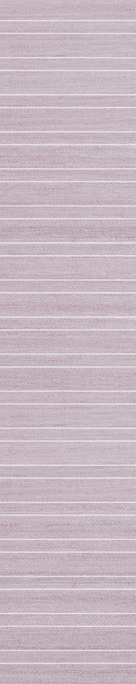 Twin Stripe Rose